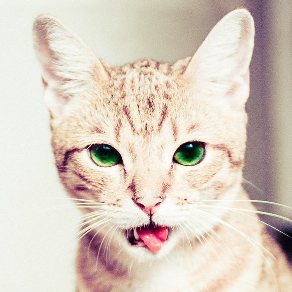 hello - Picture 1 of 1